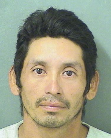  JOSE SANTOSANTONIO UMANAUCEDA Results from Palm Beach County Florida for  JOSE SANTOSANTONIO UMANAUCEDA