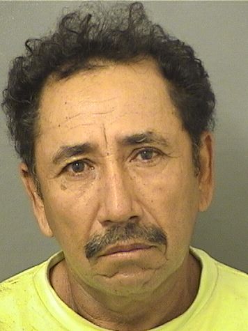  ANTONIO HERNANDEZ Results from Palm Beach County Florida for  ANTONIO HERNANDEZ