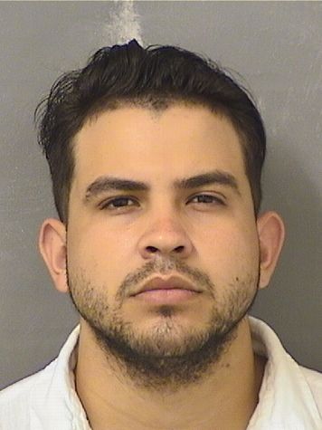  JUAN RAFAEL PEREZGONZALEZ Results from Palm Beach County Florida for  JUAN RAFAEL PEREZGONZALEZ