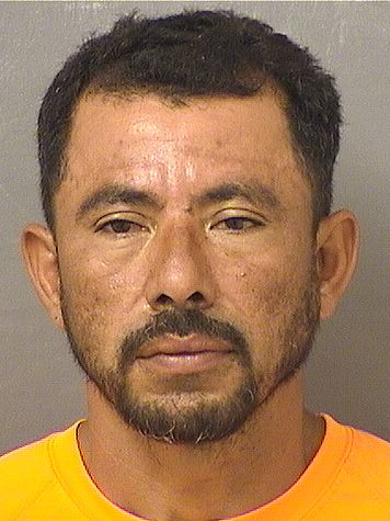  ALBORTO ATTARILLA Results from Palm Beach County Florida for  ALBORTO ATTARILLA