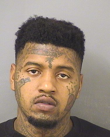  MICHAEL A GREEN Results from Palm Beach County Florida for  MICHAEL A GREEN