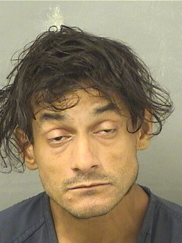  JYOVANNI RIBOT Results from Palm Beach County Florida for  JYOVANNI RIBOT