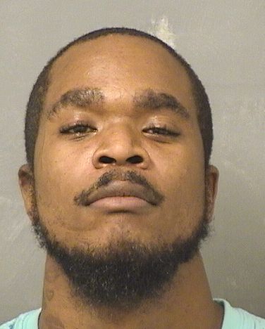  ANDREW LAWRENCE DONDRE BRINKLEY Results from Palm Beach County Florida for  ANDREW LAWRENCE DONDRE BRINKLEY