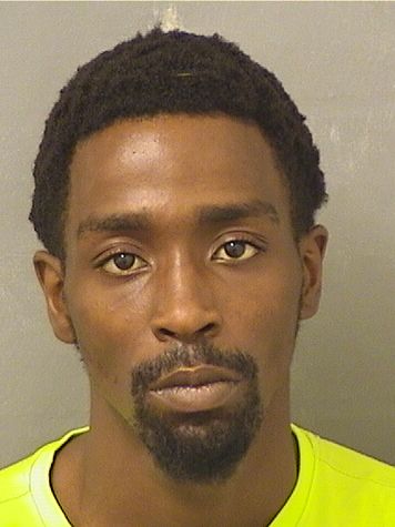  CHRISTOPHER JOHNSON Results from Palm Beach County Florida for  CHRISTOPHER JOHNSON