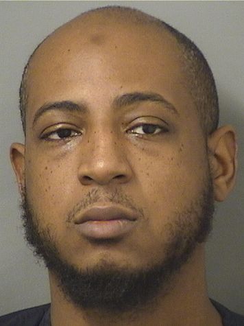  MICHAEL M WAITE Results from Palm Beach County Florida for  MICHAEL M WAITE