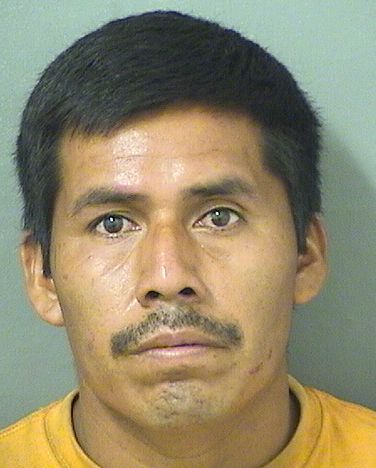 VICENTE MIGUEL MARIO Results from Palm Beach County Florida for VICENTE MIGUEL MARIO VICENTE MIGUEL MARIO Results from Palm Beach County Florida for VICENTE MIGUEL MARIO
