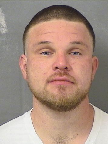  DAVID ALAN UBILLA Results from Palm Beach County Florida for  DAVID ALAN UBILLA