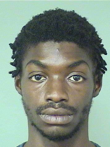  ELYSEE  Jr JEAN Results from Palm Beach County Florida for  ELYSEE  Jr JEAN