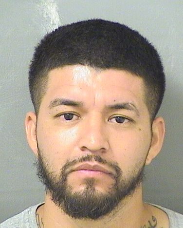  ANDREW PHILLIP ROSALES Results from Palm Beach County Florida for  ANDREW PHILLIP ROSALES