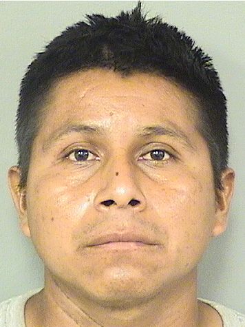  FRANCISCO PASCUALSEBASTIAN Results from Palm Beach County Florida for  FRANCISCO PASCUALSEBASTIAN