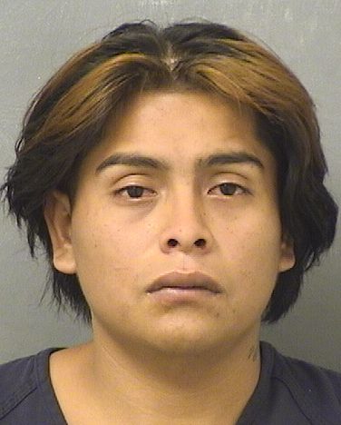  ALEJANDRO SILVA Results from Palm Beach County Florida for  ALEJANDRO SILVA