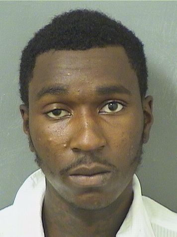  MAKALE JOHNSON Results from Palm Beach County Florida for  MAKALE JOHNSON