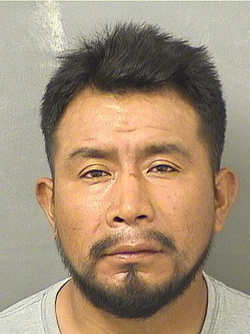 AMILCAR MANOLO JIMENEZ JIMENEZ Results from Palm Beach County Florida for AMILCAR MANOLO JIMENEZ JIMENEZ AMILCAR MANOLO JIMENEZ JIMENEZ Results from Palm Beach County Florida for AMILCAR MANOLO JIMENEZ JIMENEZ