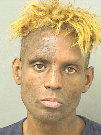  BRANDON L LEE Results from Palm Beach County Florida for  BRANDON L LEE