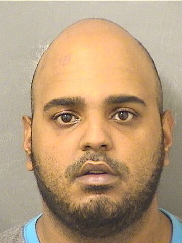  JONAS J SANZ Results from Palm Beach County Florida for  JONAS J SANZ