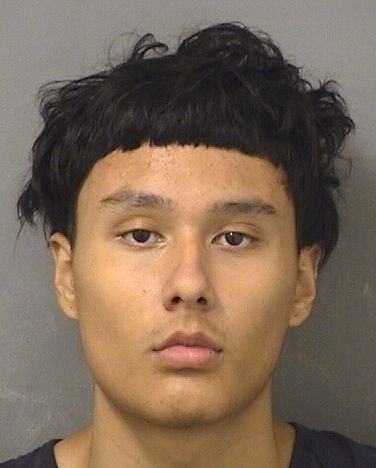  DAVID VARELA Results from Palm Beach County Florida for  DAVID VARELA