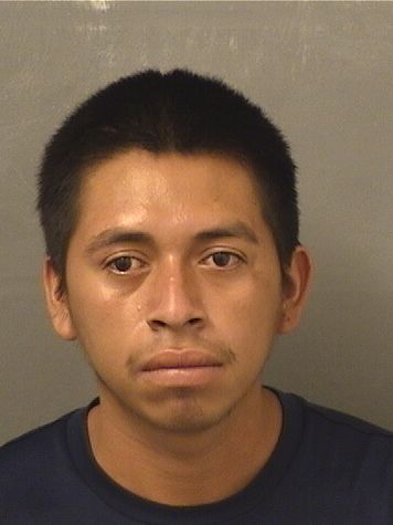  CARLOS GUSTAVO LOPEZVELASQUEZ Results from Palm Beach County Florida for  CARLOS GUSTAVO LOPEZVELASQUEZ