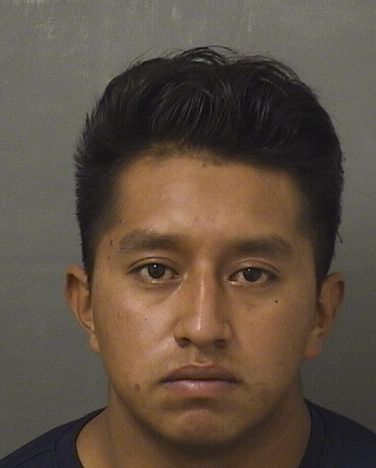  EMILIO MATIAS DOMINGO Results from Palm Beach County Florida for  EMILIO MATIAS DOMINGO