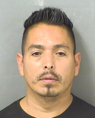  LUCIANO PONCESOLARES Results from Palm Beach County Florida for  LUCIANO PONCESOLARES