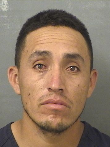  IVAN CEDILLO-REYES Results from Palm Beach County Florida for  IVAN CEDILLO-REYES