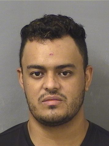  RONALD OLIVEIRA SILVA Resultados de la busqueda para Palm Beach County Florida para  RONALD OLIVEIRA SILVA