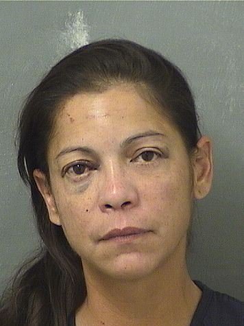  ARACELIS TORRES Results from Palm Beach County Florida for  ARACELIS TORRES