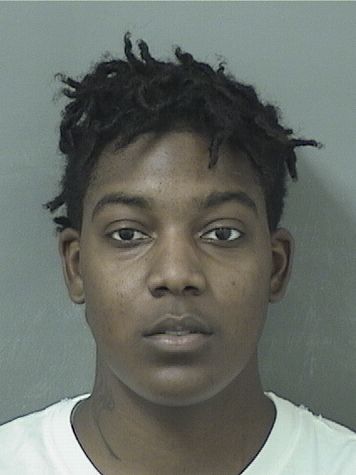  BRIENNE P WILLIAMS Results from Palm Beach County Florida for  BRIENNE P WILLIAMS