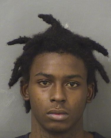 DEANGELO WILLIAM PARKS Results from Palm Beach County Florida for  DEANGELO WILLIAM PARKS