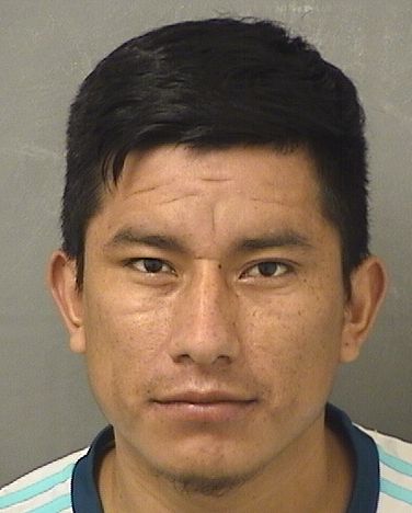 JOVIS ARNOLDO BAMACAYBAMACA Results from Palm Beach County Florida for JOVIS ARNOLDO BAMACAYBAMACA JOVIS ARNOLDO BAMACAYBAMACA Results from Palm Beach County Florida for JOVIS ARNOLDO BAMACAYBAMACA