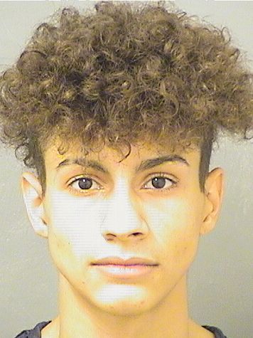  DANIEL JOSHUA SPILLEREPAGANI Resultados de la busqueda para Palm Beach County Florida para  DANIEL JOSHUA SPILLEREPAGANI