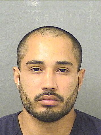  EMANUEL RAMON CALDERON Results from Palm Beach County Florida for  EMANUEL RAMON CALDERON