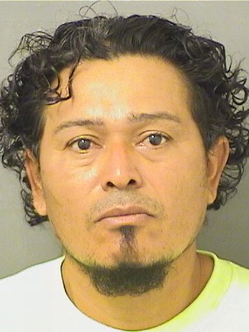 ELMER ALEJANDRO CRUZ PADILLA Results from Palm Beach County Florida for ELMER ALEJANDRO CRUZ PADILLA ELMER ALEJANDRO CRUZ PADILLA Results from Palm Beach County Florida for ELMER ALEJANDRO CRUZ PADILLA