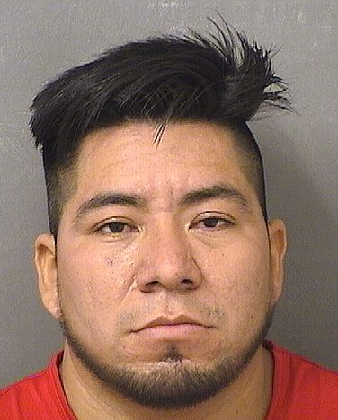  NOE PEREZ VELASQUEZ Results from Palm Beach County Florida for  NOE PEREZ VELASQUEZ