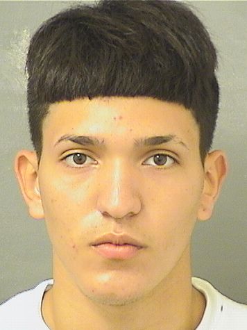  LUIS FERNANDO LORAMARTINEZ Results from Palm Beach County Florida for  LUIS FERNANDO LORAMARTINEZ