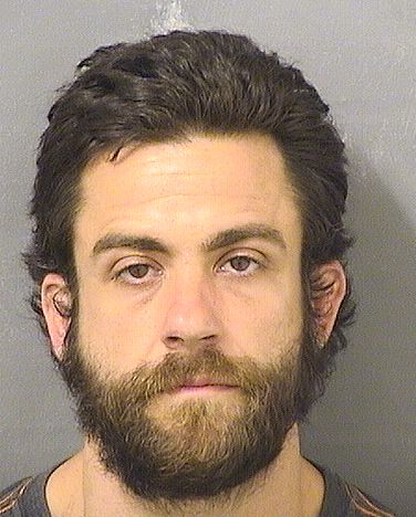  STEPHEN CHRISTOPHER DEFLAVIS Results from Palm Beach County Florida for  STEPHEN CHRISTOPHER DEFLAVIS