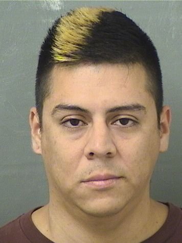  MAGDIEL CORNEJO Resultados de la busqueda para Palm Beach County Florida para  MAGDIEL CORNEJO