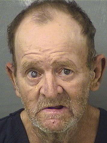  KEVIN PATRICK BRONSON Results from Palm Beach County Florida for  KEVIN PATRICK BRONSON
