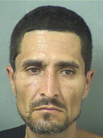  JOSE LUIS VAZQUEZOCASIO Results from Palm Beach County Florida for  JOSE LUIS VAZQUEZOCASIO