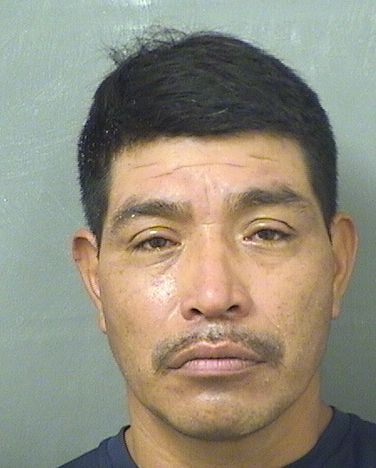  JESUS FLORENCIO HERNANDEZDIAZ Results from Palm Beach County Florida for  JESUS FLORENCIO HERNANDEZDIAZ