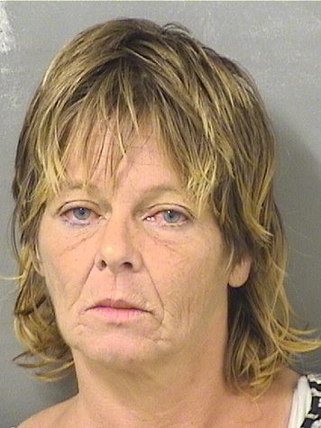  DAWN MAY SYLVESTER Results from Palm Beach County Florida for  DAWN MAY SYLVESTER