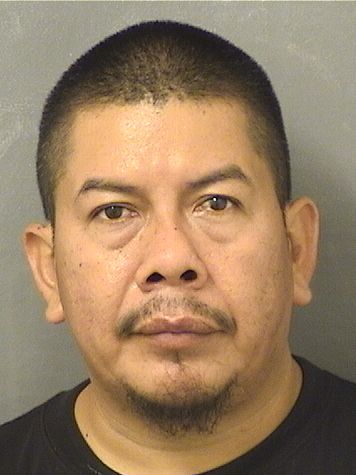  MAURICIO NEFTALI DELEONREYES Results from Palm Beach County Florida for  MAURICIO NEFTALI DELEONREYES