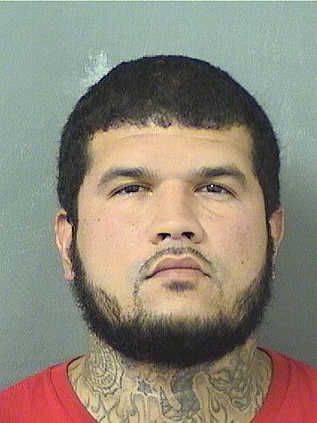  MICHAEL C SANTIAGO Results from Palm Beach County Florida for  MICHAEL C SANTIAGO