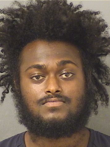  HAROLD A J JAMES Results from Palm Beach County Florida for  HAROLD A J JAMES