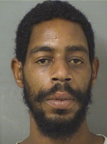  ANTHONY JAMES MITCHELL Results from Palm Beach County Florida for  ANTHONY JAMES MITCHELL