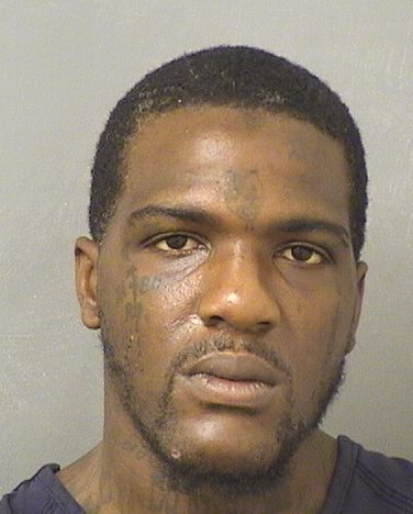  HARRY DACHOUTE Results from Palm Beach County Florida for  HARRY DACHOUTE