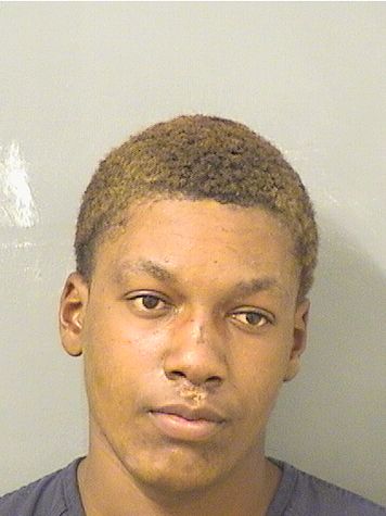  DELVIN LEVON GAMBLE Results from Palm Beach County Florida for  DELVIN LEVON GAMBLE