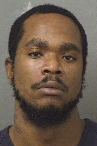  ANDREW L BRINKLEY Resultados de la busqueda para Palm Beach County Florida para  ANDREW L BRINKLEY