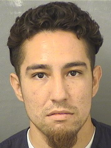  MAYNOR LEONEL NUNEZ Results from Palm Beach County Florida for  MAYNOR LEONEL NUNEZ