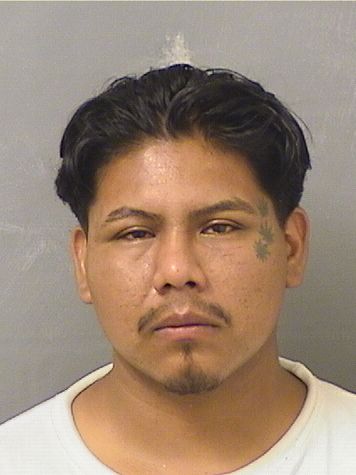  MIGUEL PEDRO Resultados de la busqueda para Palm Beach County Florida para  MIGUEL PEDRO