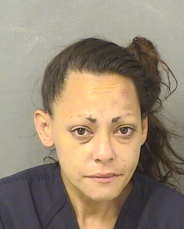  ROSE SHARON COLLINS Resultados de la busqueda para Palm Beach County Florida para  ROSE SHARON COLLINS